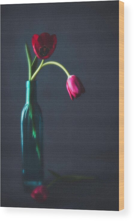 Mother's Day Wood Print featuring the photograph Tulip Still Life For Mothers Day by Catlane