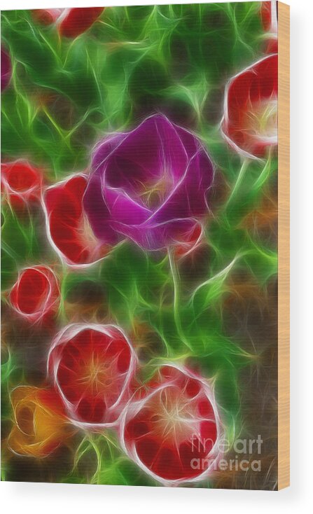 Tulip Wood Print featuring the photograph Tulips-6936-Fractal by Gary Gingrich Galleries