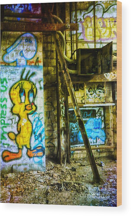 Abandoned Wood Print featuring the photograph Tweety by Debra Fedchin