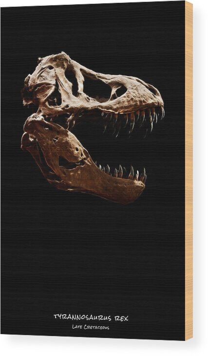 Tyrannosaurus Rex Skull Wood Print featuring the photograph Tyrannosaurus rex skull 1 by Weston Westmoreland