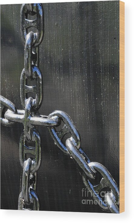Secure Wood Print featuring the photograph Unchain by Randi Grace Nilsberg