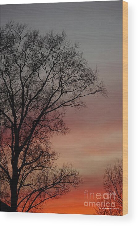Sunset Wood Print featuring the photograph Valentine Day Sunset by Tannis Baldwin