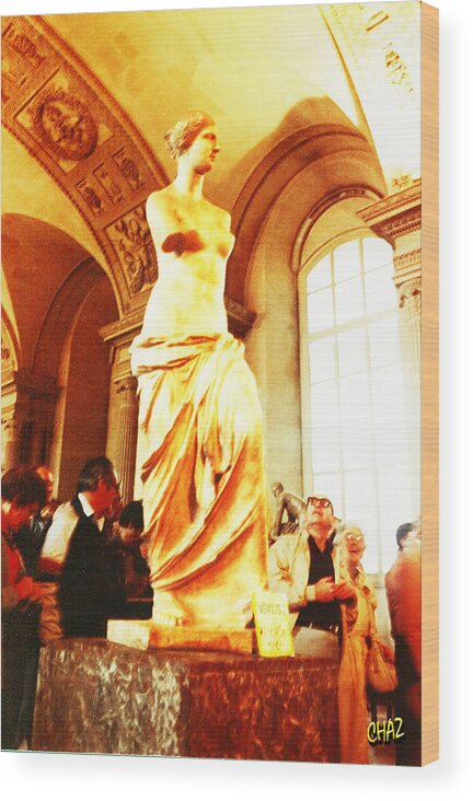 Classics Wood Print featuring the photograph Venus de Milo by CHAZ Daugherty