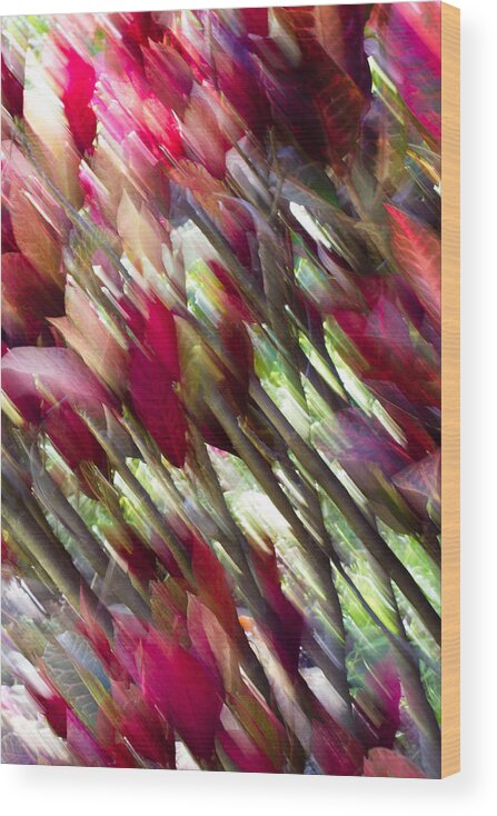 Flower Wood Print featuring the photograph Vibrant Leaves by Christie Kowalski