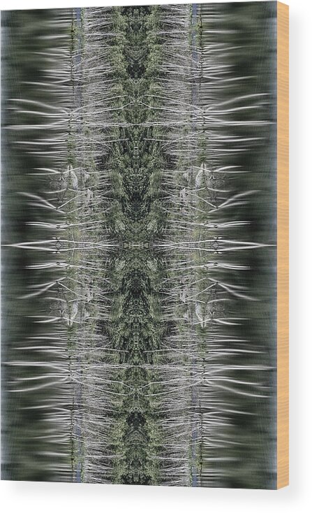 Contemporary Wood Print featuring the photograph Vibrations by Dawn J Benko