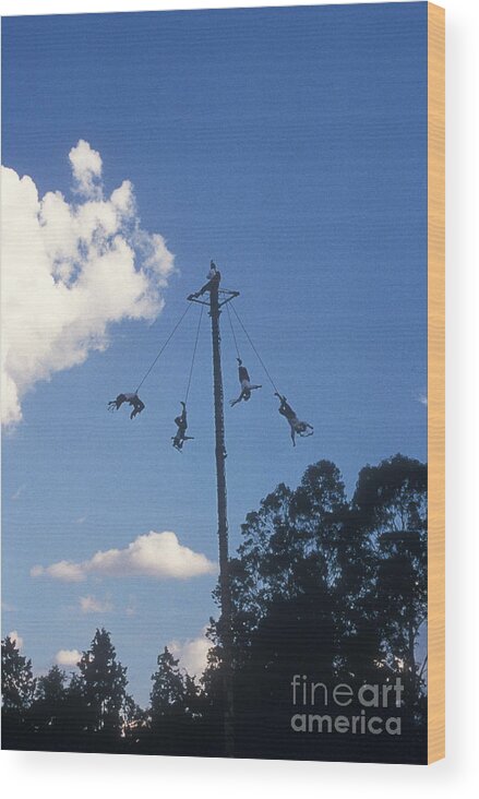 Mexico Wood Print featuring the photograph VOLADORES El Tajin Mexico by John Mitchell
