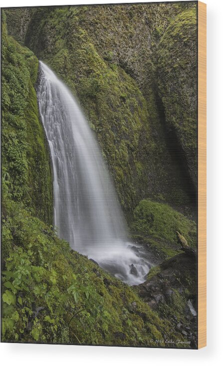 Waterfall Wood Print featuring the photograph Wahkeena Falls by Erika Fawcett