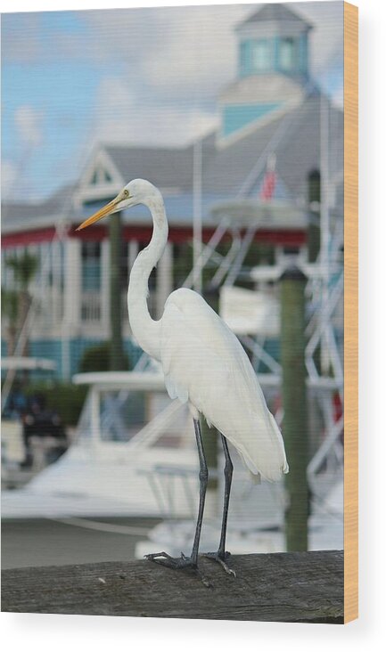 Egret Wood Print featuring the digital art Waiting For The Boat by Cynthia Guinn