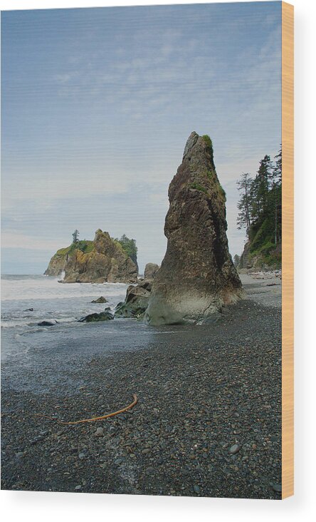 Washington Wood Print featuring the photograph Washington State Seashore by Nancy Landry