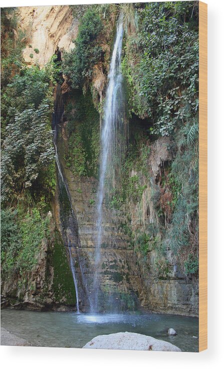 Waterfall Wood Print featuring the photograph Waterfall at Ein Gedi by Doc Braham