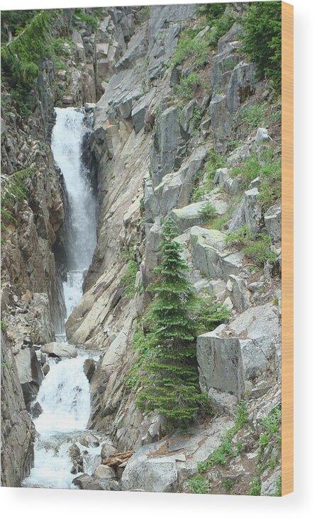 Waterfall Wood Print featuring the photograph Waterfall by Susan Woodward