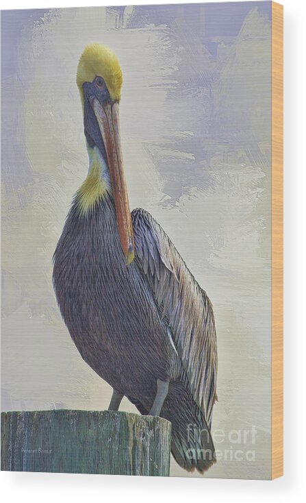 Pelican Wood Print featuring the photograph Waterway Pelican by Deborah Benoit