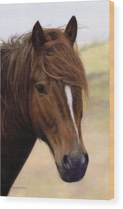 Pony Wood Print featuring the painting Welsh Pony Painting by Rachel Stribbling