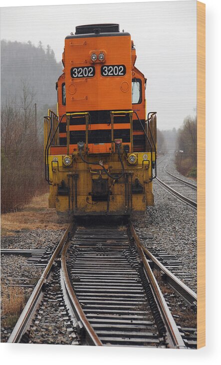 Train Wood Print featuring the photograph Which Way by Mike Martin