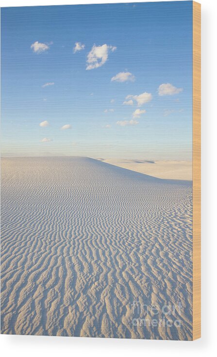 00559171 Wood Print featuring the photograph White Gypsum Dune by Yva Momatiuk John Eastcott