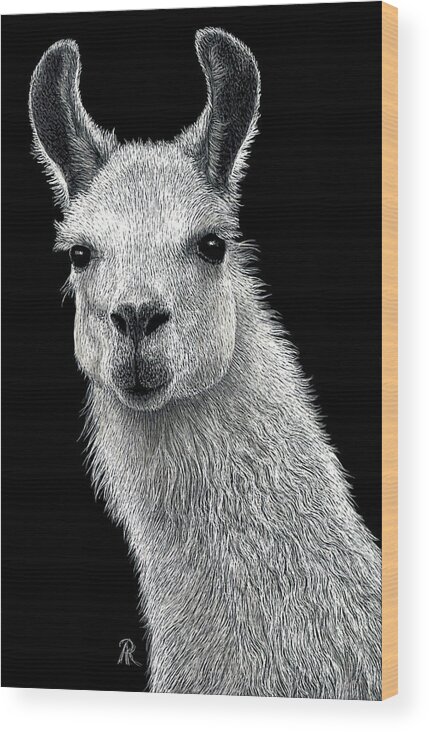 Llama Wood Print featuring the drawing White Llama by Ann Ranlett