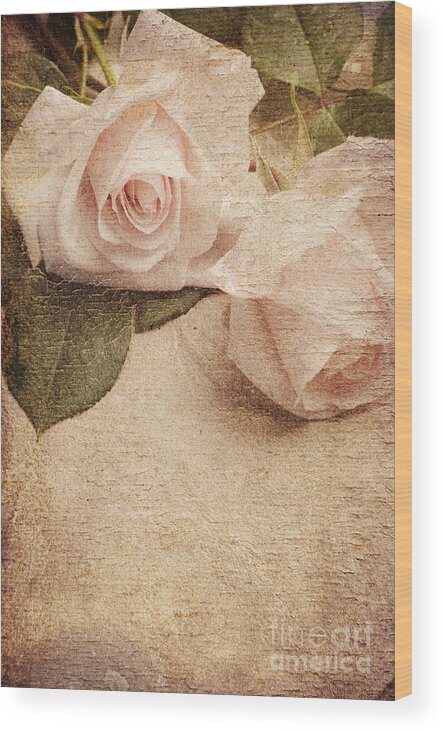 Roses Wood Print featuring the photograph White Roses by Jelena Jovanovic