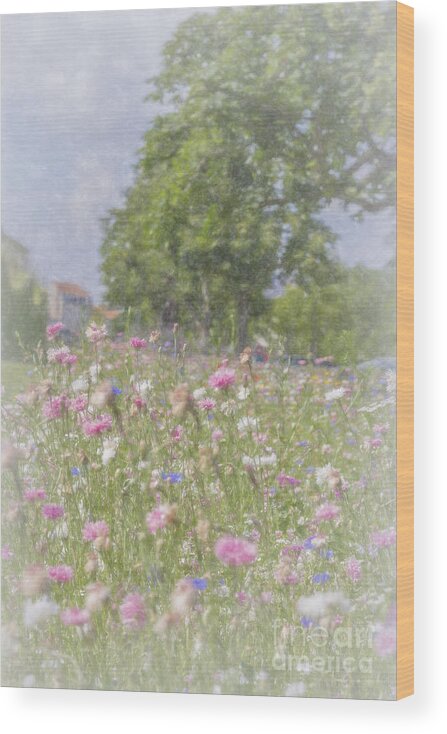 Wildflowers Wood Print featuring the photograph Wildflower Impressionism by Elaine Teague