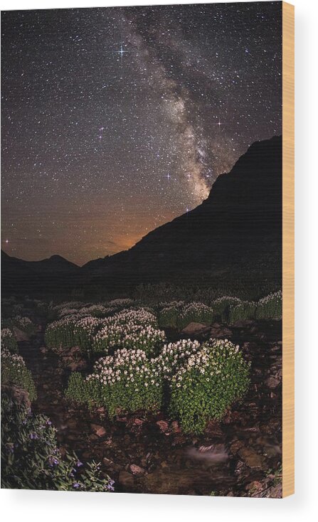 Tranquility Wood Print featuring the photograph Wildflower Runoff Under The Stars by Mike Berenson / Colorado Captures