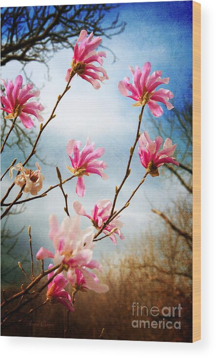 Magnolia Wood Print featuring the photograph Wind In The Magnolia Tree by Andee Design