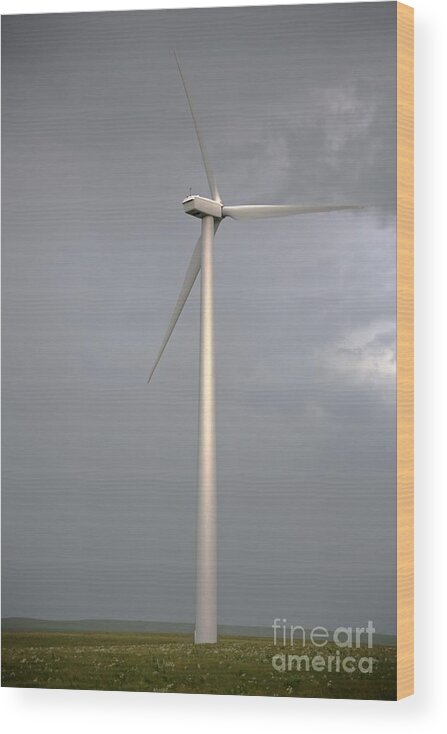Windmill; Wind Power; Wind; Great Plains Windmill; Flint Hills Windmill; Wind Energy; Alternative Enery; Energy; Energy Industry; Kansas Windmill; Kansas; Kansas Energy Resources; Wood Print featuring the photograph Windmill by Betty Morgan