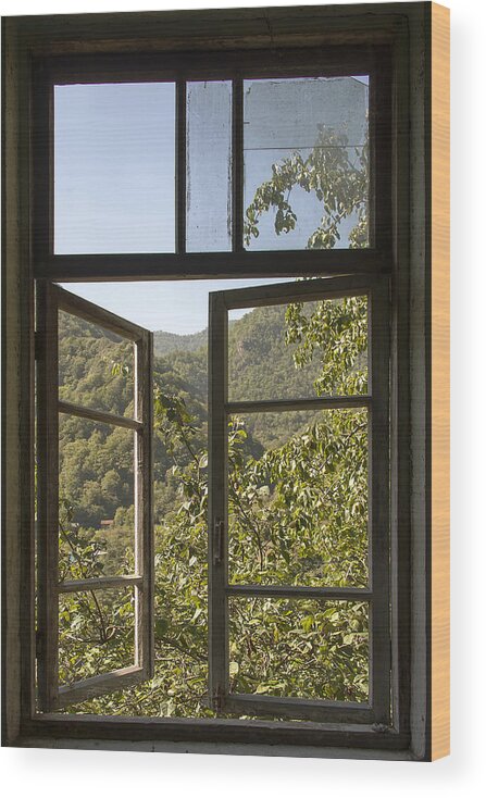 Window Wood Print featuring the photograph Window by Gouzel -