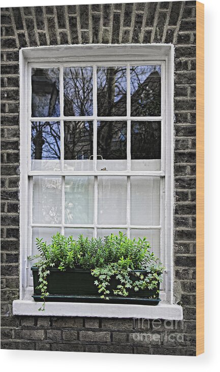 Window Wood Print featuring the photograph Window in London by Elena Elisseeva