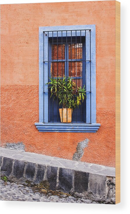 Doors Wood Print featuring the photograph Window in San Miguel de Allende Mexico by Carol Leigh