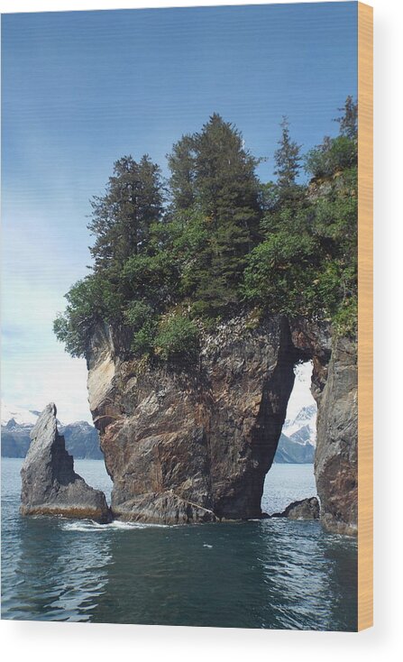 Window Rock Wood Print featuring the photograph Window Rock by Barbara Von Pagel