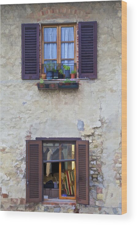 Architecture Wood Print featuring the photograph Windows with Potted Plants of Rural Tuscany by David Letts