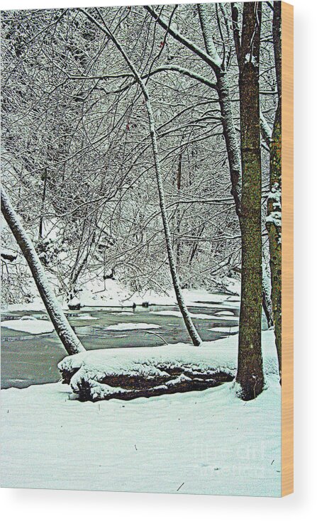 Wisconsin Wood Print featuring the photograph Winter By The Creek by Kay Novy