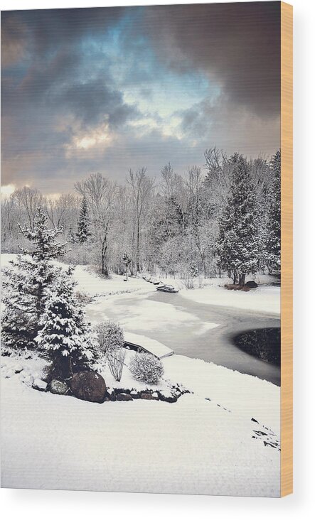 Winter Wonderland Picture Wood Print featuring the photograph Winter Solace by Gwen Gibson