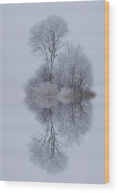 Winter Wood Print featuring the photograph Winter Stillness by Norbert Maier