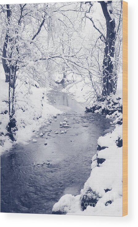 Stream Wood Print featuring the photograph Winter stream by Liz Leyden