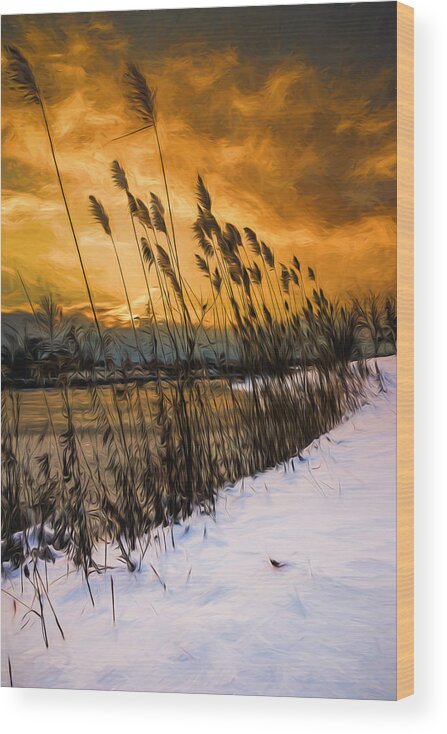 Lake Wood Print featuring the photograph Winter sunrise through the reeds - Artistic by Chris Bordeleau