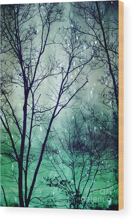 Wintergreen Wood Print featuring the photograph Wintergreen Twilight by Kim Fearheiley