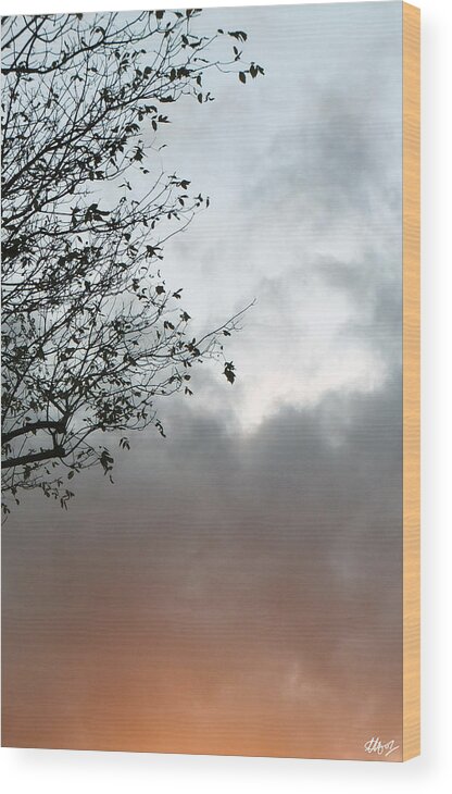 Stormy Skies Wood Print featuring the photograph Wipe by Laura Hol Art