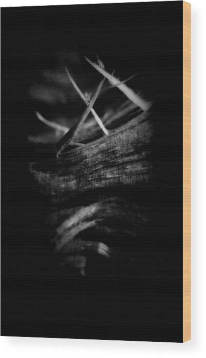 Wood Wood Print featuring the photograph Wood Art 01 by Mimulux Patricia No