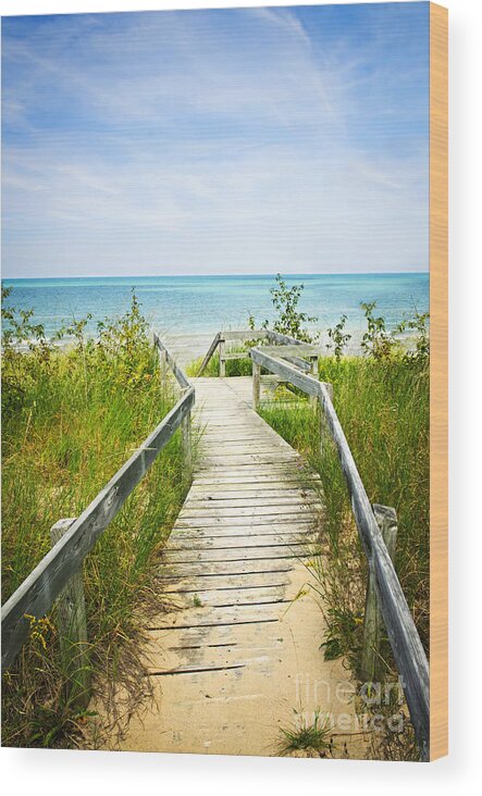 Beach Wood Print featuring the photograph Wooden walkway over dunes at beach by Elena Elisseeva
