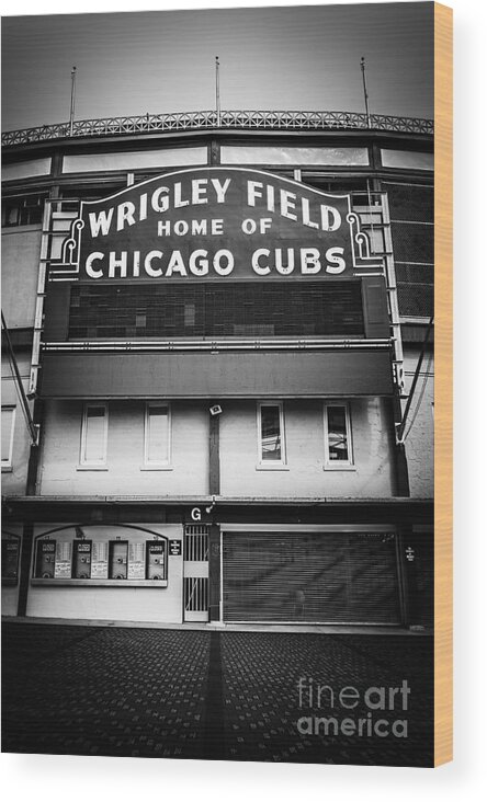 America Wood Print featuring the photograph Wrigley Field Chicago Cubs Sign in Black and White by Paul Velgos
