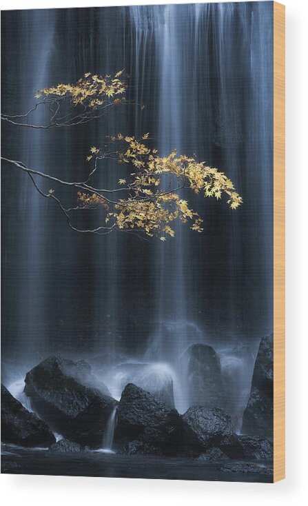 Autumn Wood Print featuring the photograph Yellow Autumn by Yuki Yatsushima