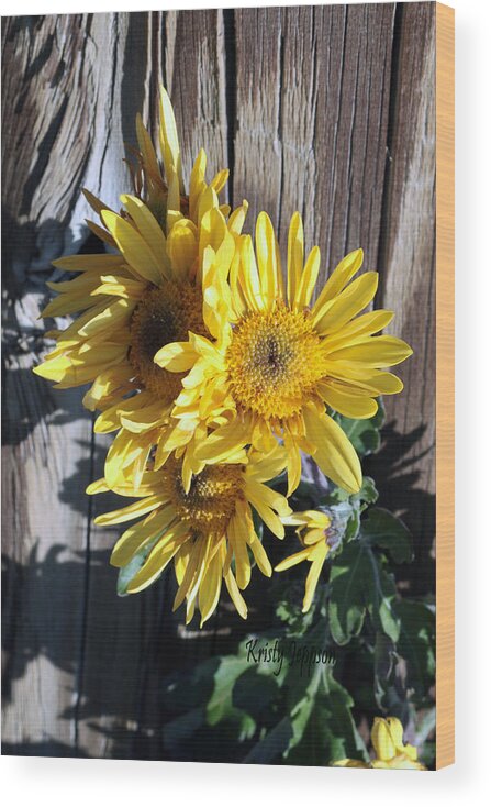 Flower Wood Print featuring the photograph Yellow Mum by Kristy Jeppson