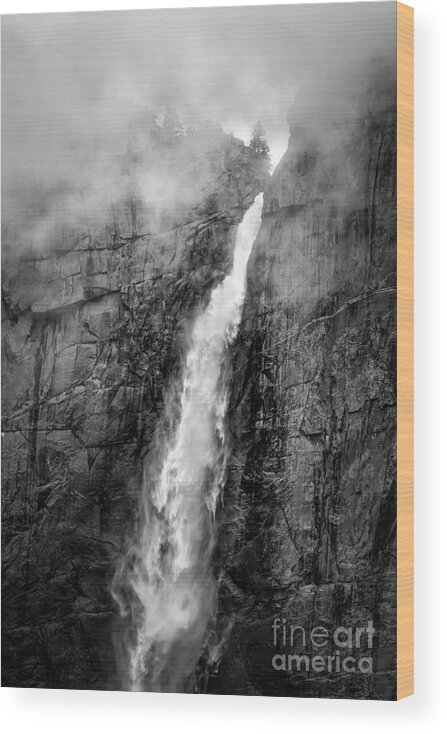 Yosemite Wood Print featuring the photograph Yosemite Fall by Anthony Michael Bonafede