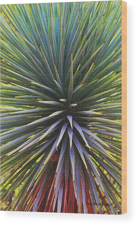 Yucca At The Arboretum Wood Print featuring the photograph Yucca At The Arboretum by Tom Janca