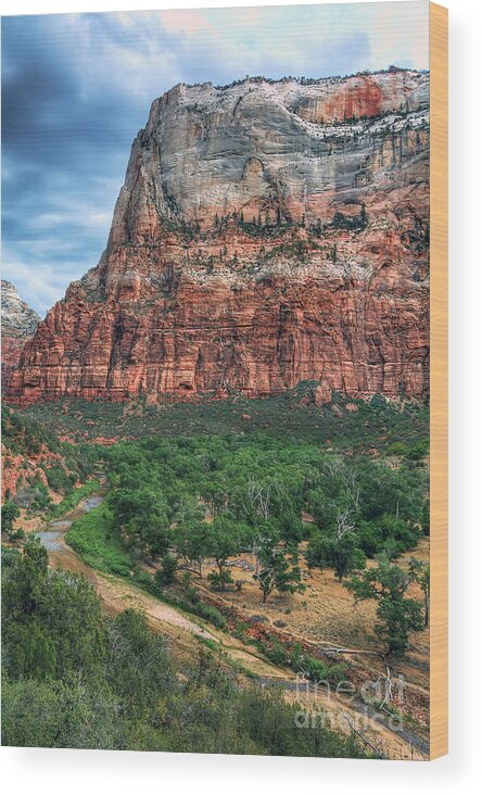 Virgin Wood Print featuring the photograph Zion National Park II by Eddie Yerkish