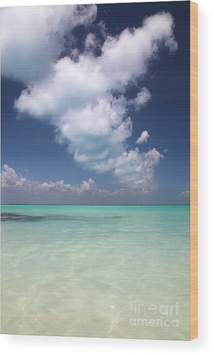 Mexico Wood Print featuring the photograph Cloud by Milena Boeva