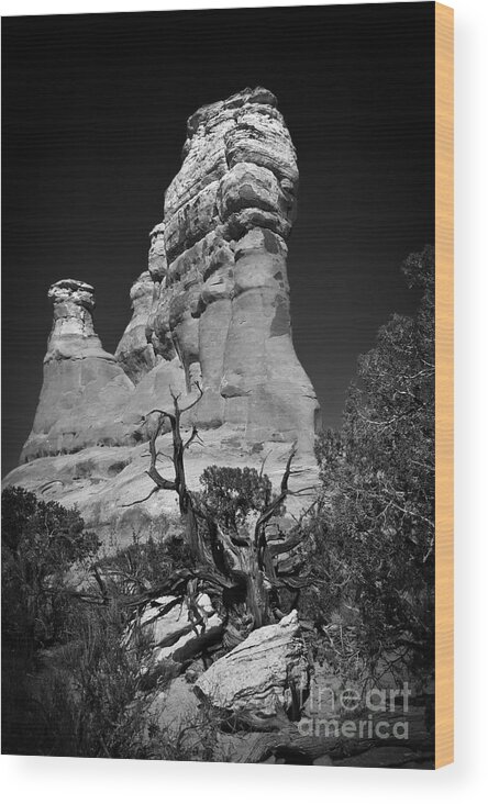 Arches National Park Wood Print featuring the photograph Arches National Park BW #1 by Larry Carr