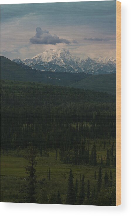 Alaska Wood Print featuring the photograph Mount Hunter #1 by Benjamin Dahl