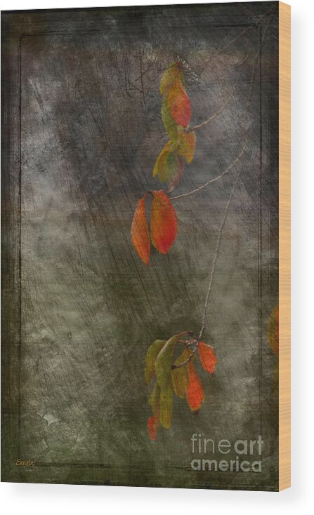 Autumn Wood Print featuring the photograph Colours of Autumn #2 by Eena Bo