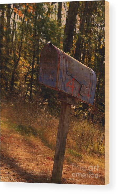 Mailbox Wood Print featuring the photograph 4 Anystreet USA by Brenda Giasson